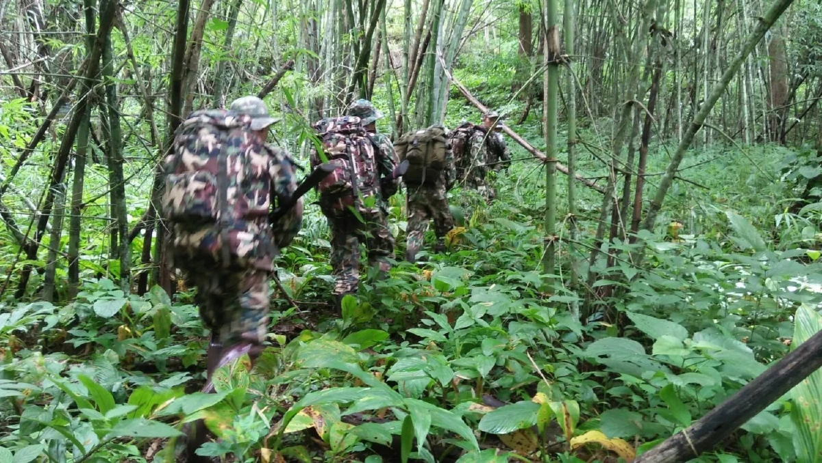 ว้าว! สมเสร็จสัตว์ป่าสงวนหายากใกล้สูญพันธุ์โผล่หน้ากล้องดักถ่าย