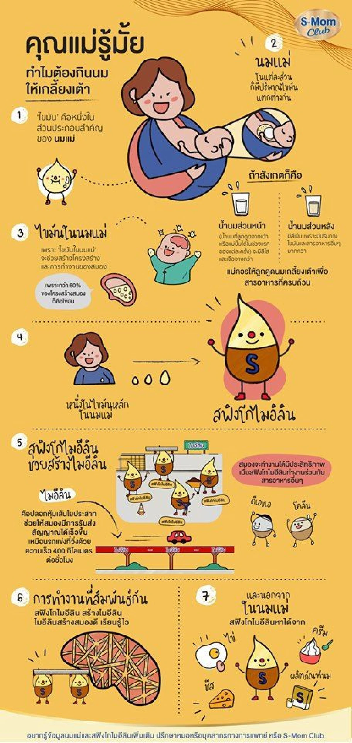 ผลวิจัยผู้เชี่ยวชาญด้านสมองระดับโลกชี้ “สฟิงโกไมอีลิน” หนึ่งในสารอาหารสำคัญในการสร้างไมอีลินและมีความสัมพันธ์ให้ลูกสมองดี เรียนรู้ไว”