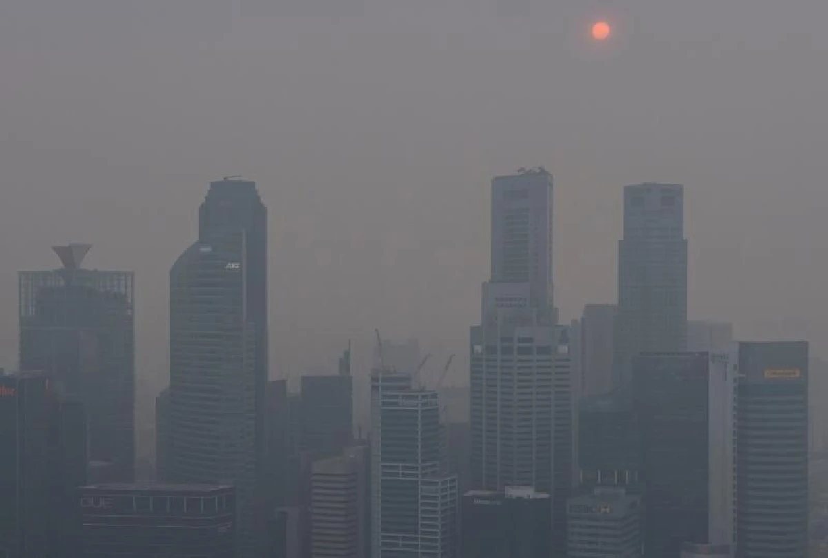 อินโดฯจับผู้ต้องสงสัยนับร้อย เอี่ยวเผาป่า