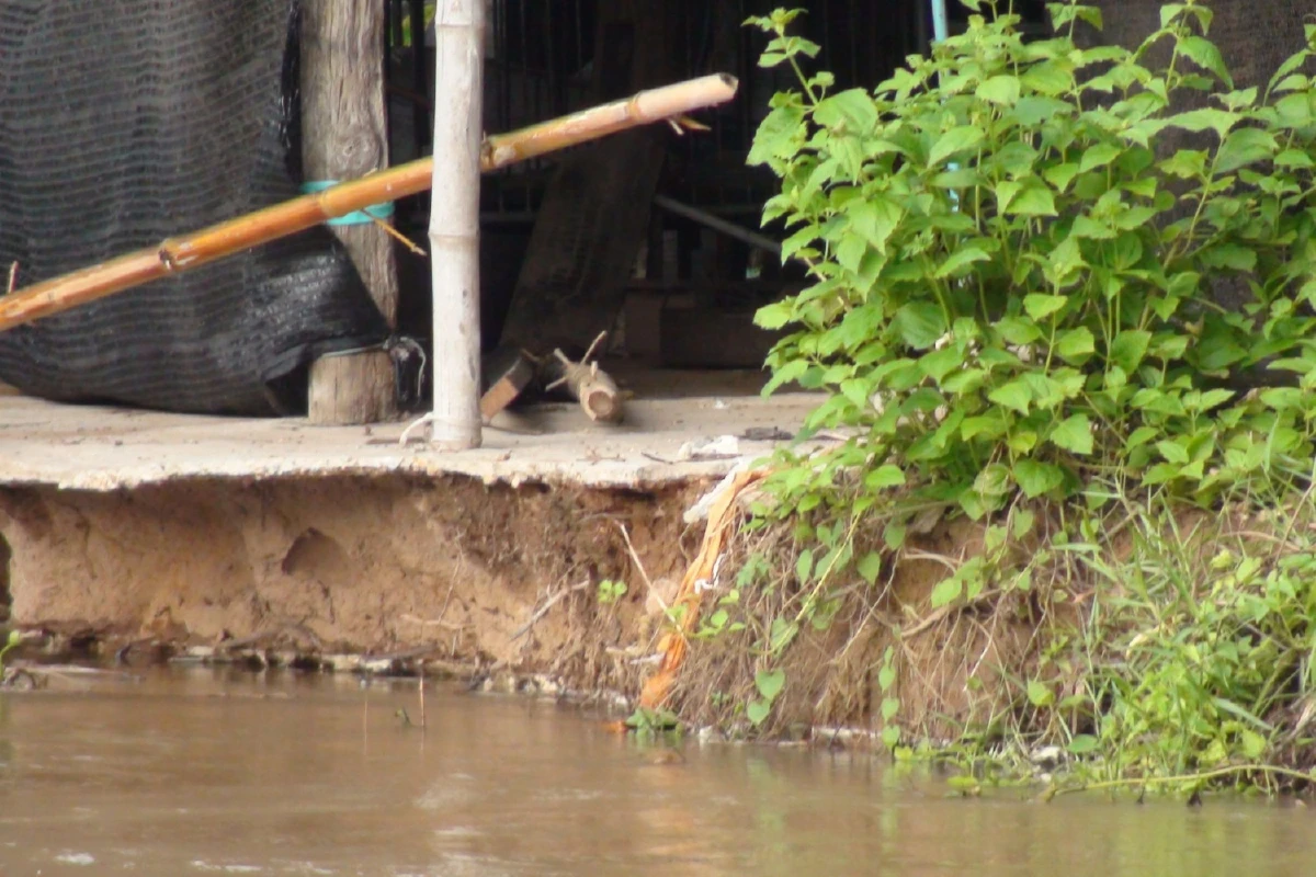 ชัยภูมิอ่วม!มวลน้ำซัดตลิ่งพังพื้นที่การเกษตรอ.บ้านเขว้าท่วม