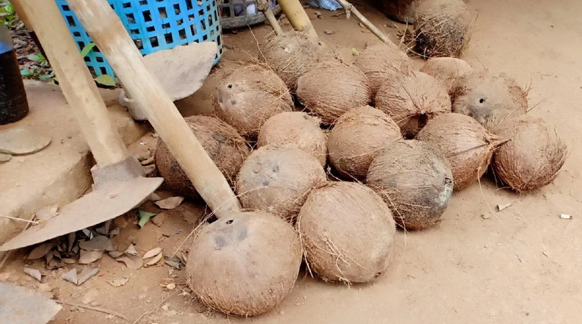 สู้เพื่อหลาน! สองผัวเมียประดิษฐ์กะลามะพร้าวหาเงินรักษาหลานป่วยเป็นโรคร้าย