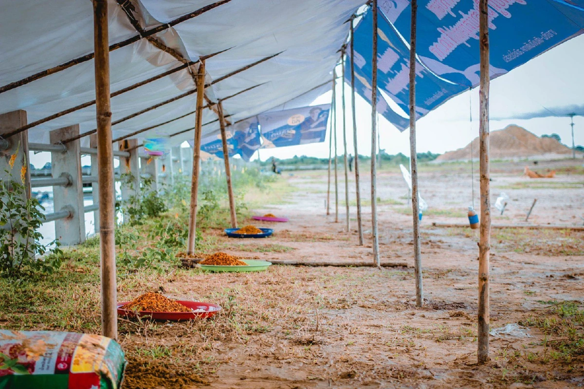 "แค่เห็นเขาอยู่สบายขึ้นเล็กน้อยก็ดีใจแล้ว" หนุ่มผู้ฝ่าน้ำท่วมไปสร้างเพิงพักให้สัตว์นับร้อย