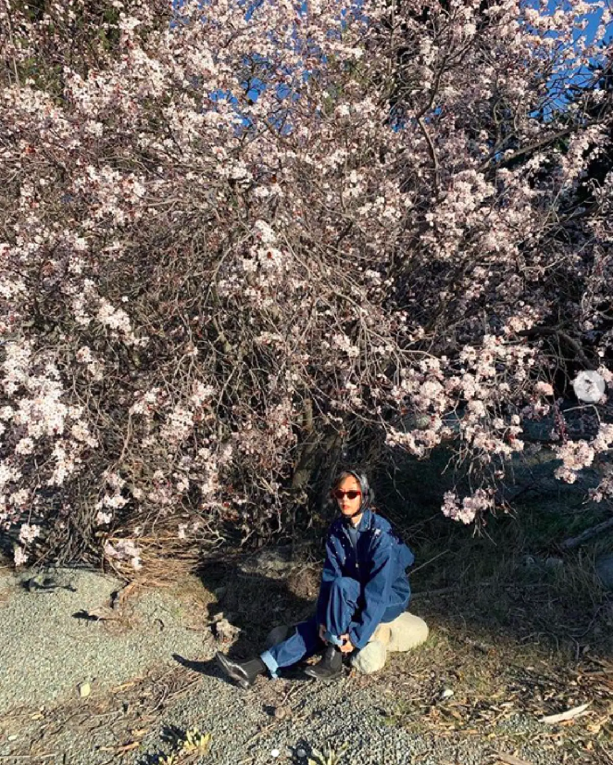 ทริปกระชับความสัมพันธ์! “อาเล็ก" พา “เต้ย” ขึ้นฮ. ชมวิวภูเขาหิมะที่นิวซีแลนด์