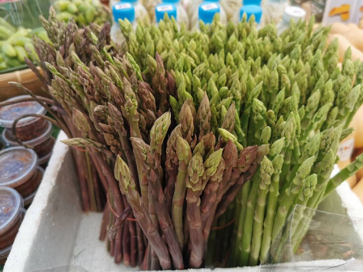 เปิดแล้วอย่างเป็นทางการ “ตลาดน้ำ อ.ต.ก.” เปิดพื้นที่เกษตรกรขายฟรี