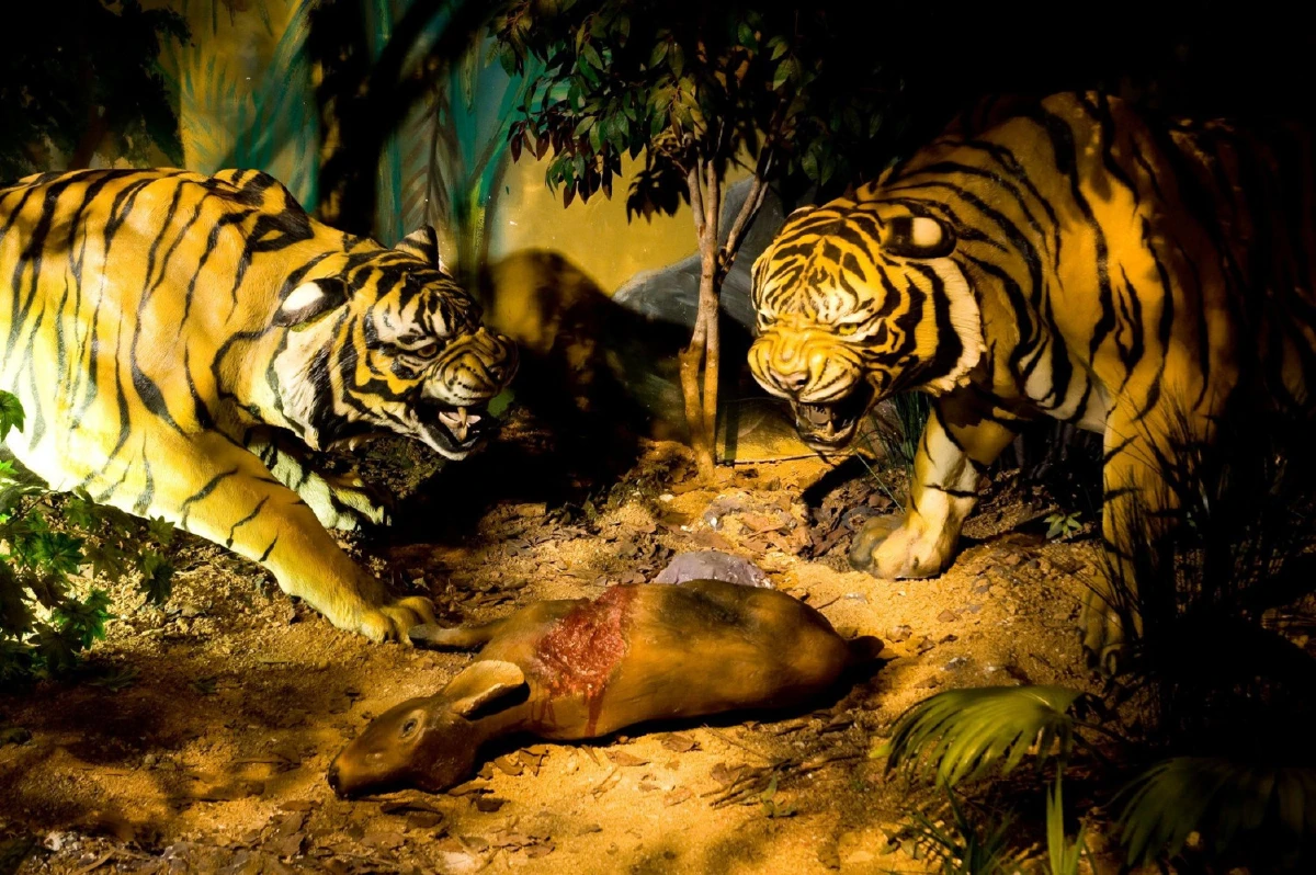 ตะลุย 10 แหล่งเรียนรู้ที่ต้องไปดูให้เห็นกับตา