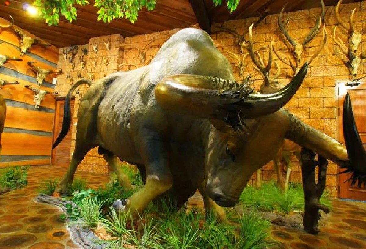 ตะลุย 10 แหล่งเรียนรู้ที่ต้องไปดูให้เห็นกับตา