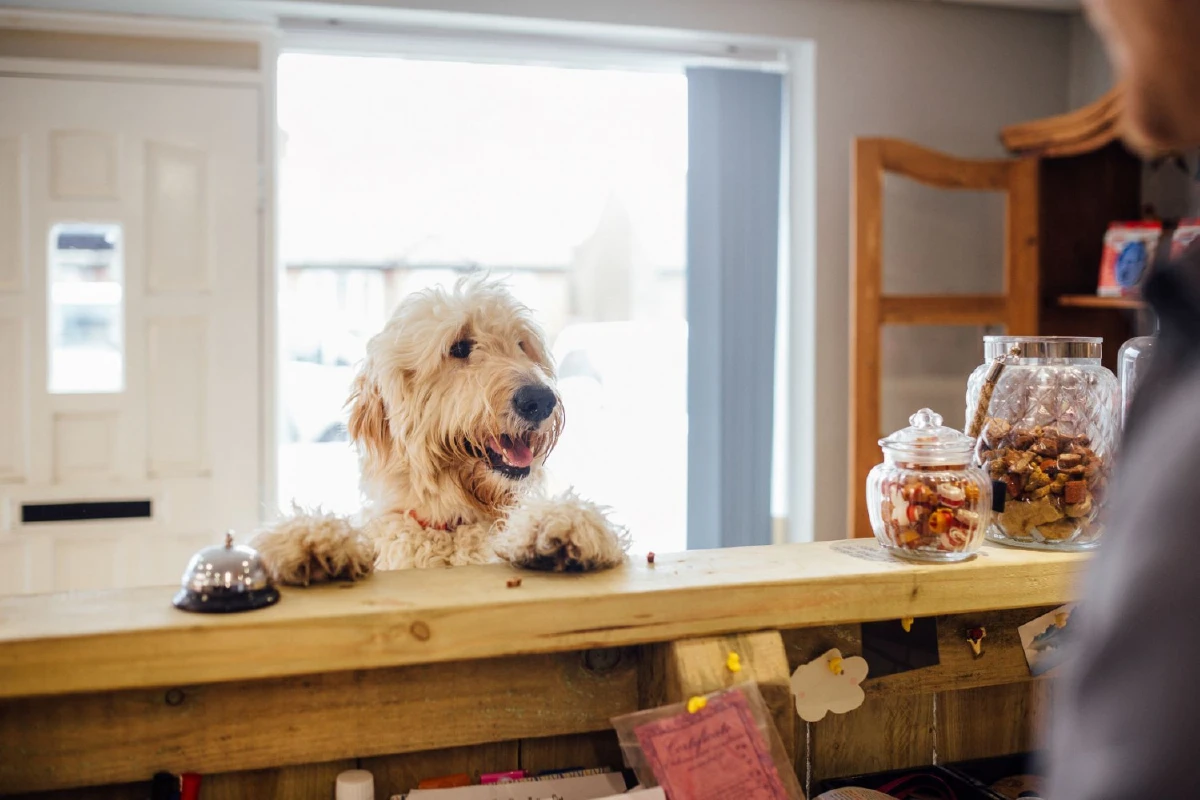 สำรวจเทรนด์ท่องเที่ยวปี 2020