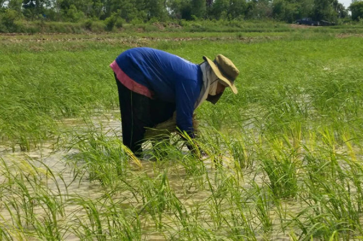 ดัชนีภาวะเศรษฐกิจฯ ก.ย. 62 ดีดตัวขึ้น แต่ยังเป็นระดับที่ต่ำ ดัชนีภาวะเศรษฐกิจฯ ก.ย. 62 ดีดตัวขึ้น แต่ยังเป็นระดับที่ต่ำ