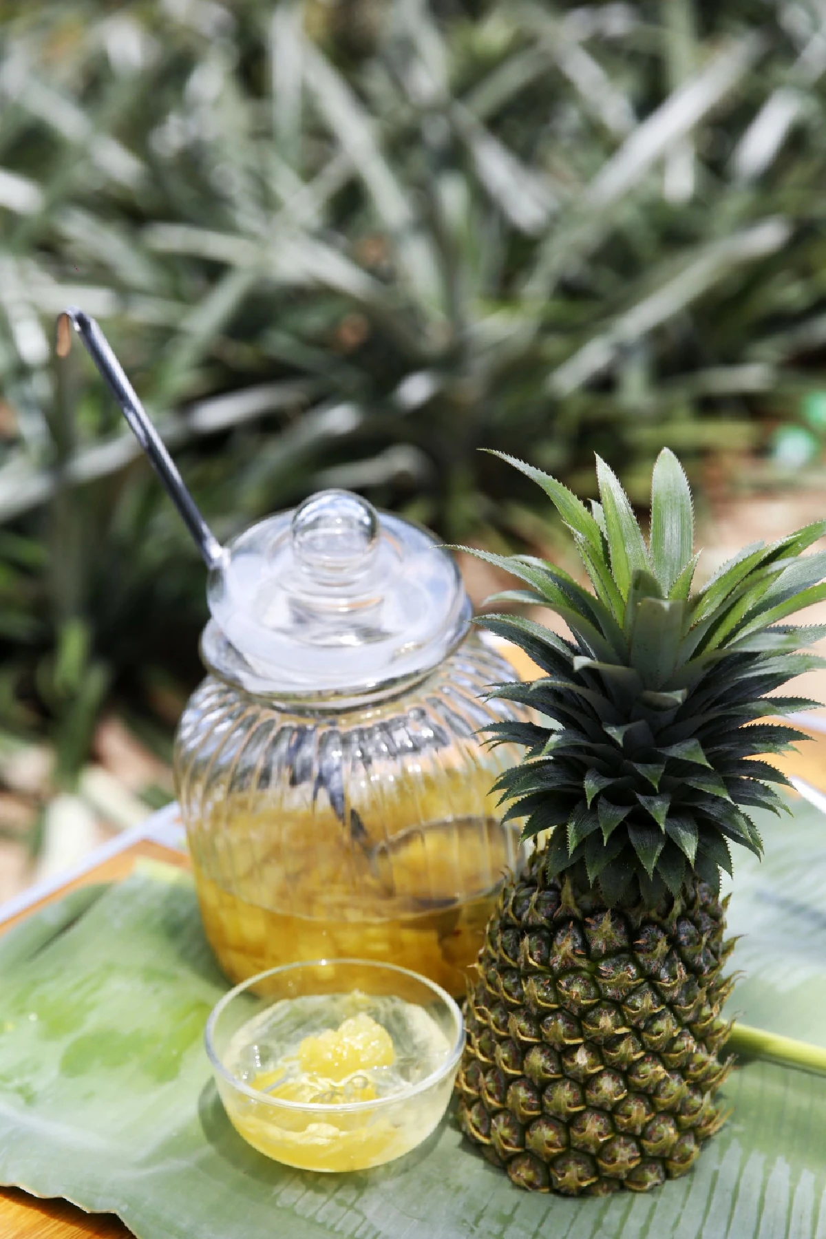 สำรวจตัวเลือก "กิน" ต้านหวัด