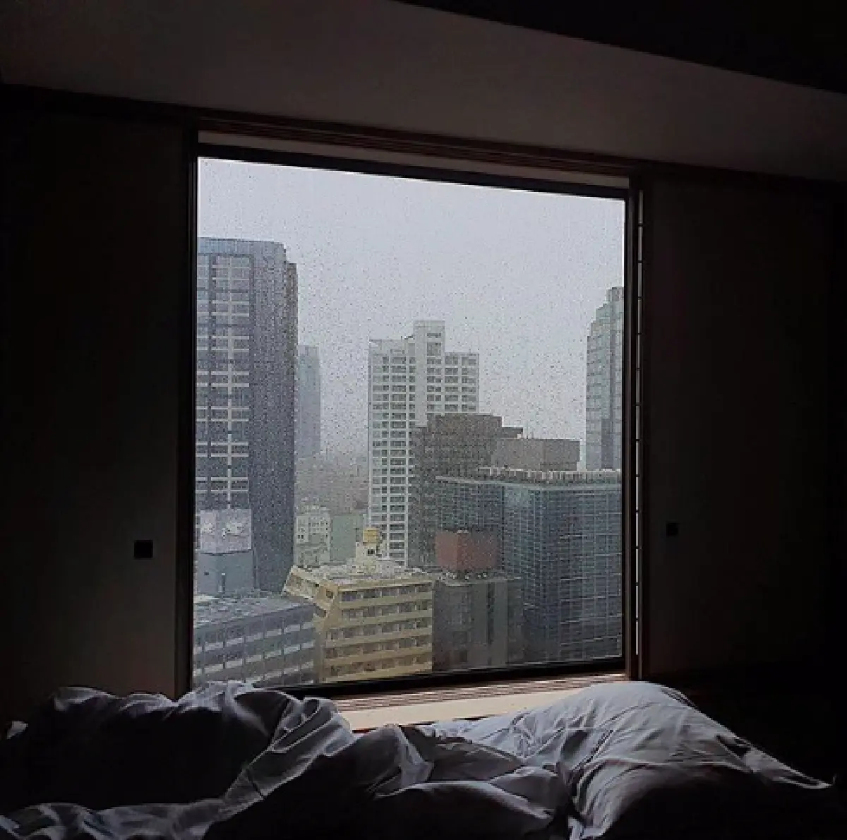 ส่องภาพเหล่าคนบันเทิงร่วมเผชิญ "พายุไต้ฝุ่นฮากิบิส” ที่ญี่ปุ่น