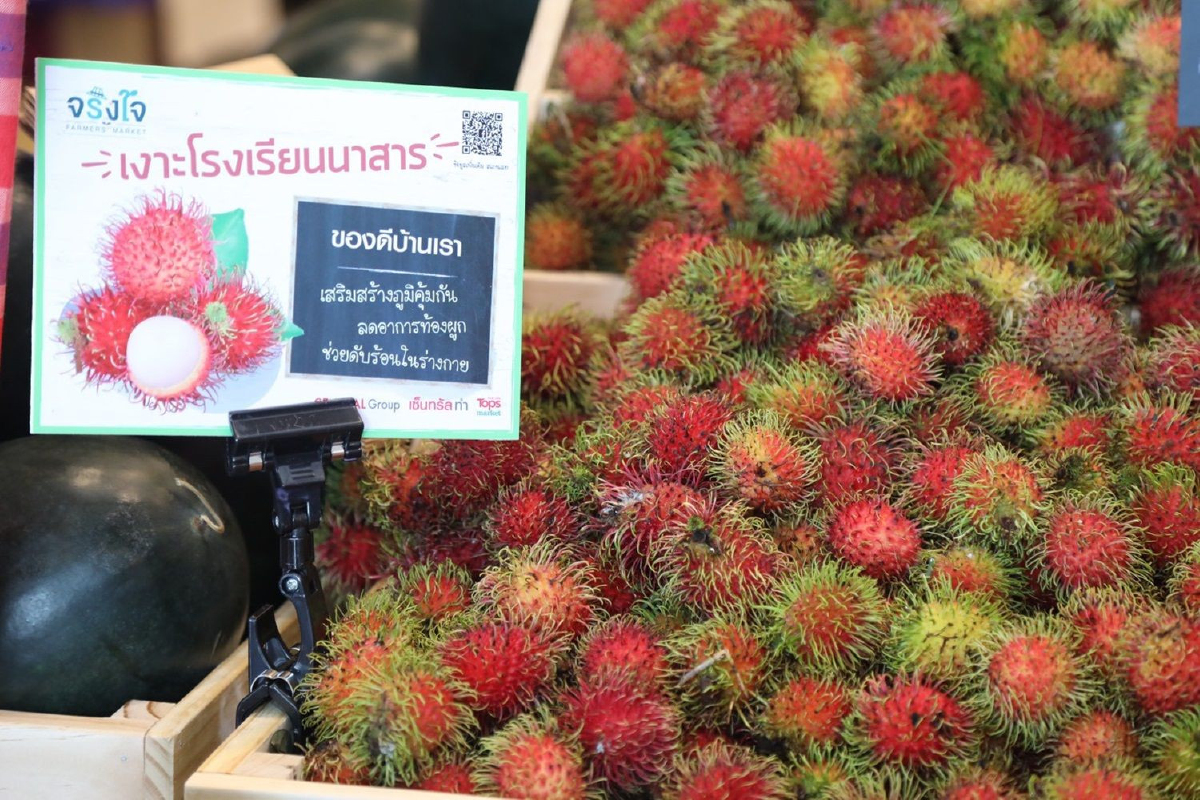 "ตลาดจริงใจ" ลุยต่อสร้างความยั่งยืนเกษตรกรสุราษฎร์ฯ "ตลาดจริงใจ" ลุยต่อสร้างความยั่งยืนเกษตรกรสุราษฎร์ฯ