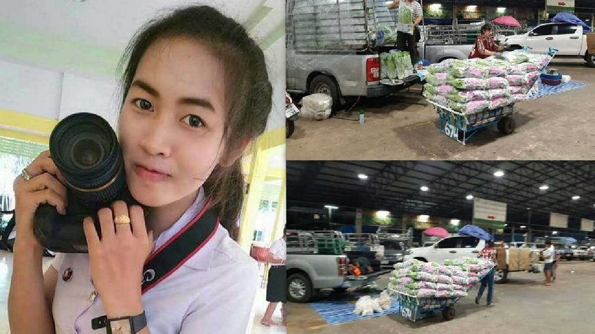 ไม่มีอะไรน้อยค่า! “น้องเค้ก” อดีตช่างไฟไร้งานเพราะเป็นหญิง สู่ “ธิดารถเข็นผัก” ขวัญใจตลาดศรีเมือง ไม่มีอะไรน้อยค่า! “น้องเค้ก” อดีตช่างไฟไร้งานเพราะเป็นหญิง สู่ “ธิดารถเข็นผัก” ขวัญใจตลาดศรีเมือง