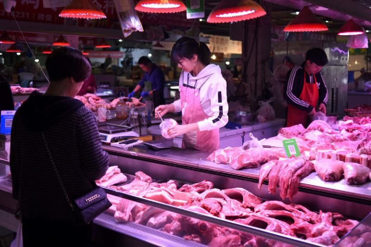 หมูแพงทำคนจีนหันบริโภคเนื้อสุนัข หมูแพงทำคนจีนหันบริโภคเนื้อสุนัข