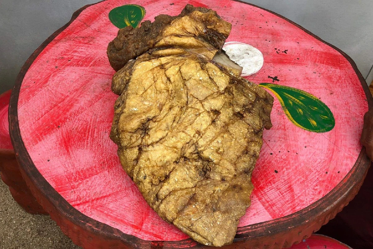 จะรวยไม่รู้ตัว!ชาวเกาะสมุยสงสัยเจออ้วกวาฬคาดมีมูลค่ากว่า10ล้านบาท