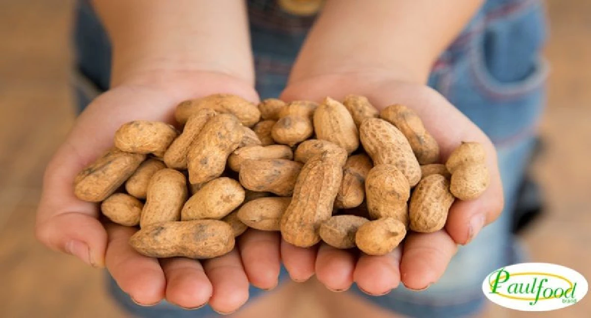 เศรษฐีในโลกมืด “พอลร์ ผู้พิชิตไพร” กะเหรี่ยงหนุ่มตาบอดเจ้าแห่งเนยถั่วของไทย