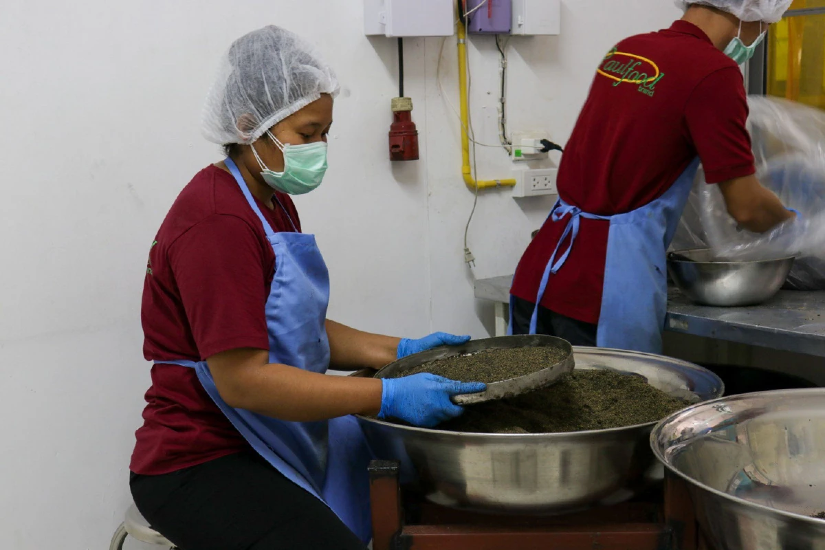 เศรษฐีในโลกมืด “พอลร์ ผู้พิชิตไพร” กะเหรี่ยงหนุ่มตาบอดเจ้าแห่งเนยถั่วของไทย