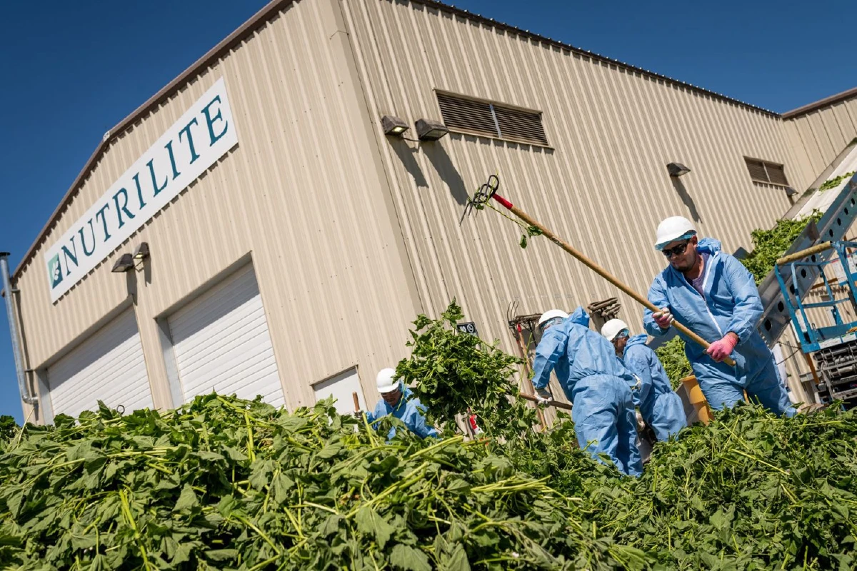 ป๊อกกี้ on the farm ตะลุยฟาร์มนิวทริไลท์ วิถีออร์แกนิคตัวช่วยให้เรามีสุขภาพสมบูรณ์สูงสุด (Optimal Health)