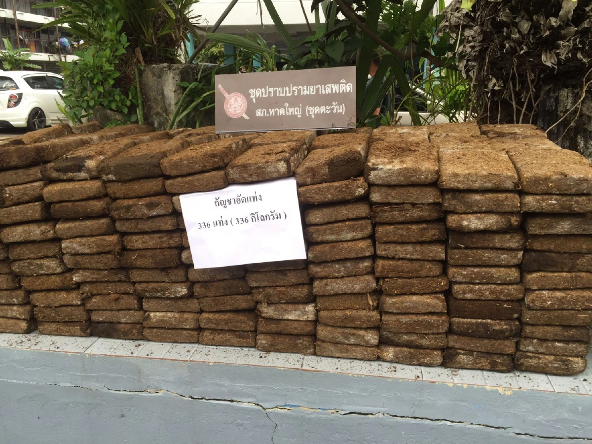 ยึดกัญชาเน่า 336 กก.ถูกขนมาทิ้งริมถนนเมืองหาดใหญ่คาดขายไม่ได้ขึ้นรา