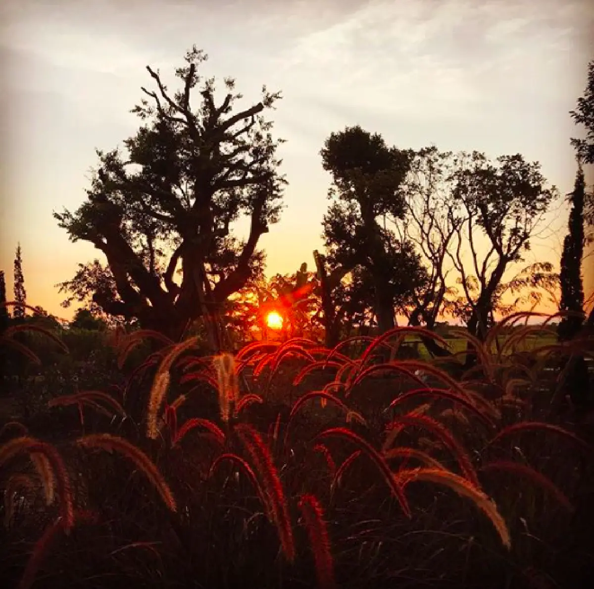 ส่องบ้านสุดหรูหราของ "ป้อม วินิจ" ช่างแต่งหน้าคู่บุญซุปตาร์ บนที่ดิน 4 ไร่  มีสวนสไตล์อังกฤษ