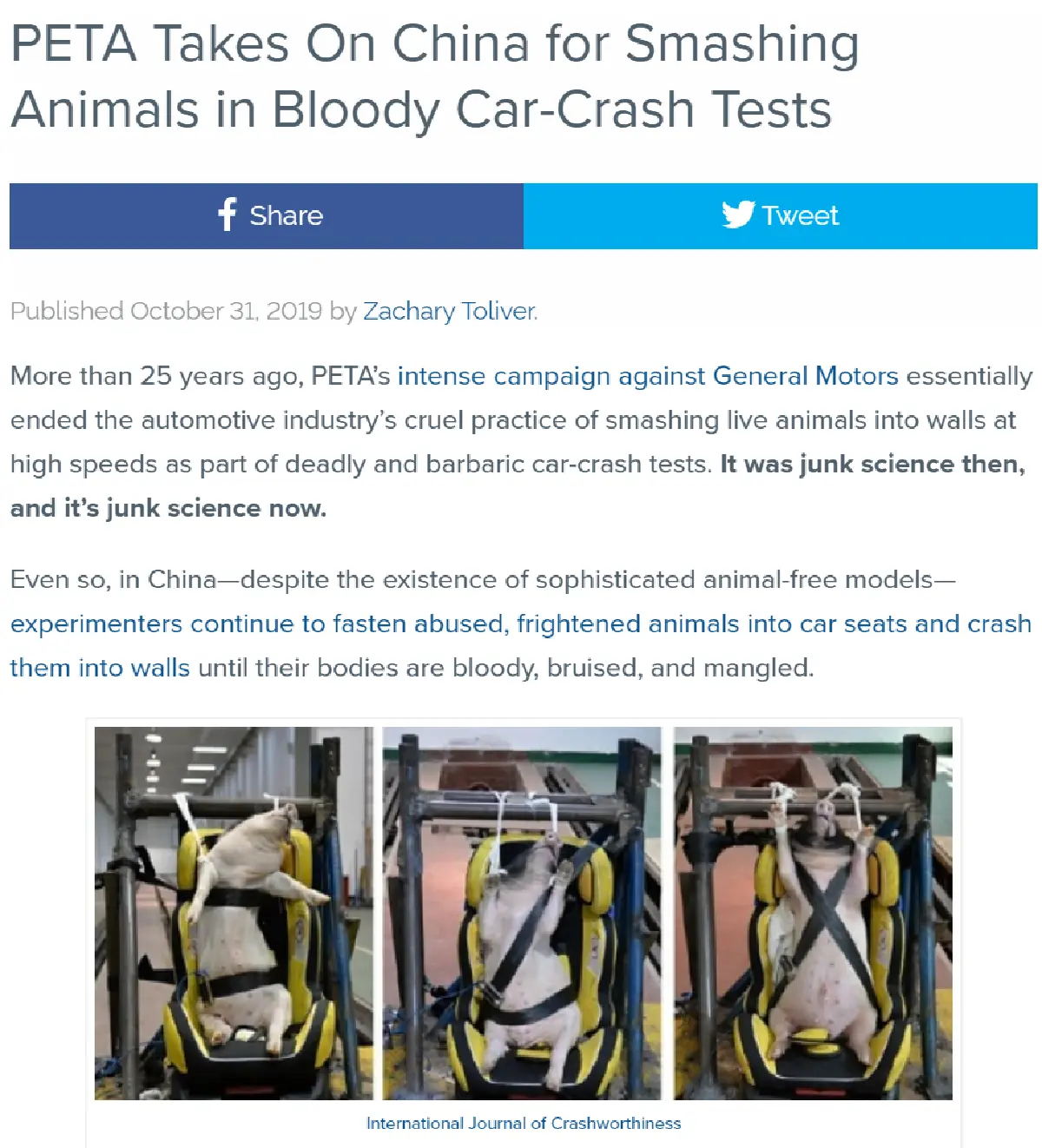 จีนจับหมากับหมูเป็นๆ มาทดลองแรงกระแทกในอุบัติเหตุรถยนต์