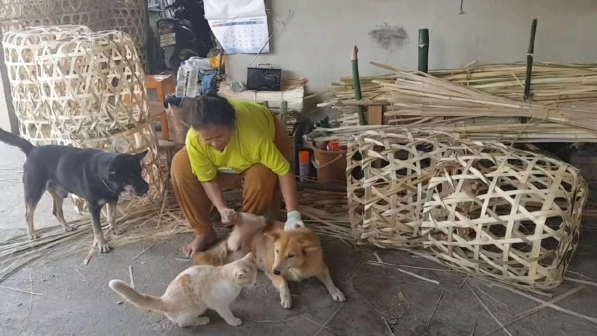 แม่หมารักลูกแมวให้ดูดนมตั้งแต่เกิด