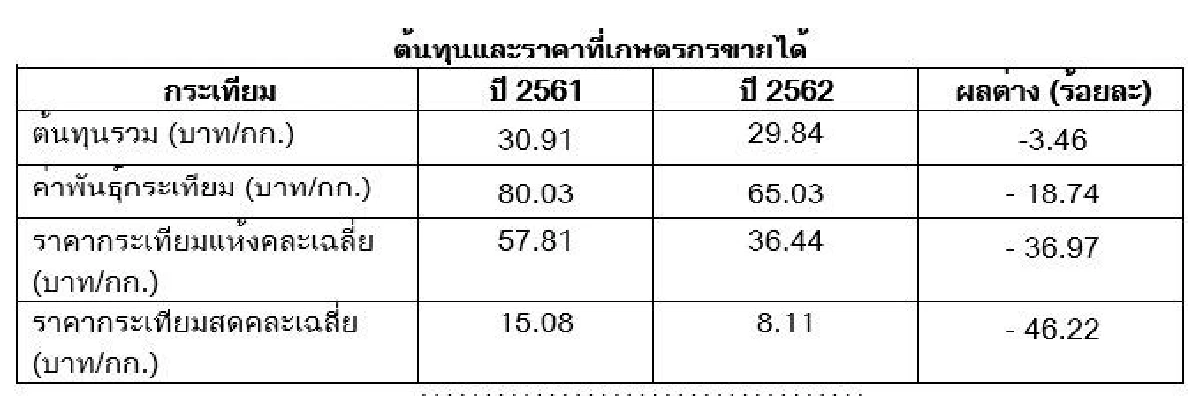 คาดผลผลิตกระเทียม ปี63 รวมกว่า 8.5 หมื่นตัน เตรียมทยอยออกสู่ตลาดปลายปีนี้