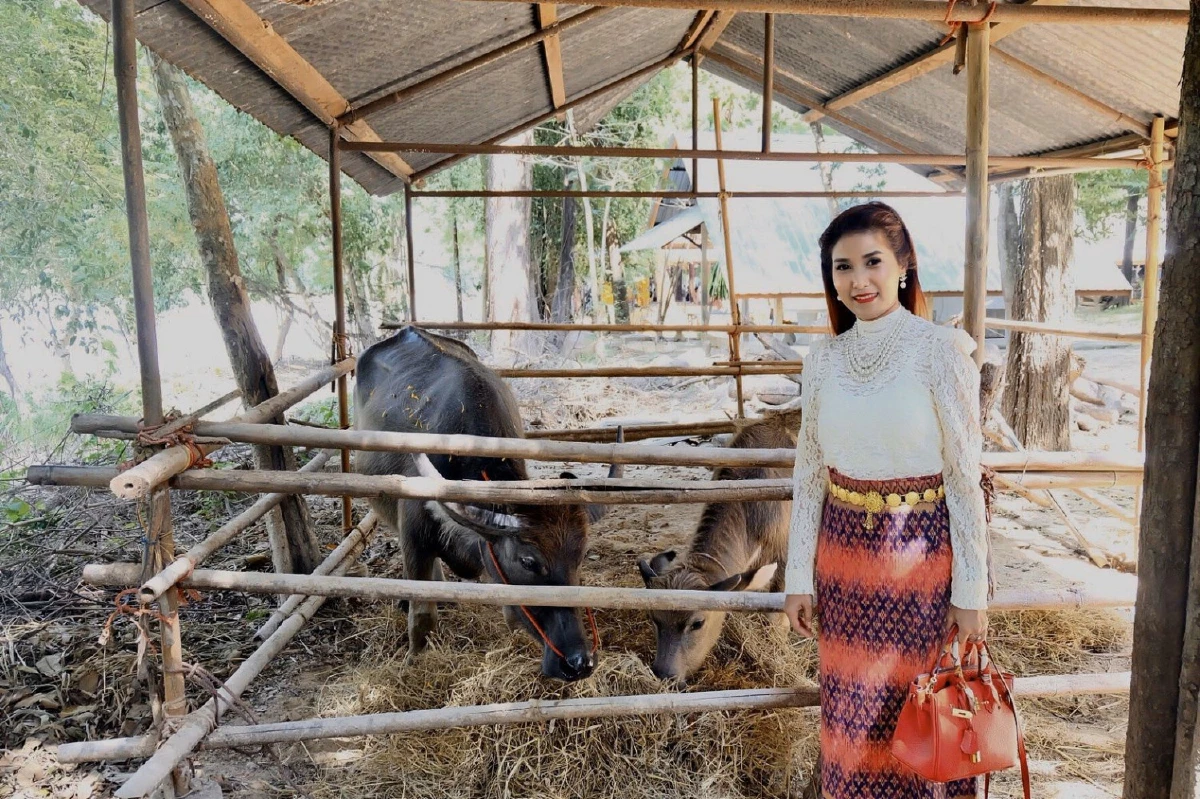 เจ้าแม่แอนนี่ ผู้บริหารค่ายเพลงนายพลฯ นำทีมผู้ใจบุญไถ่ชีวิตกระบือ