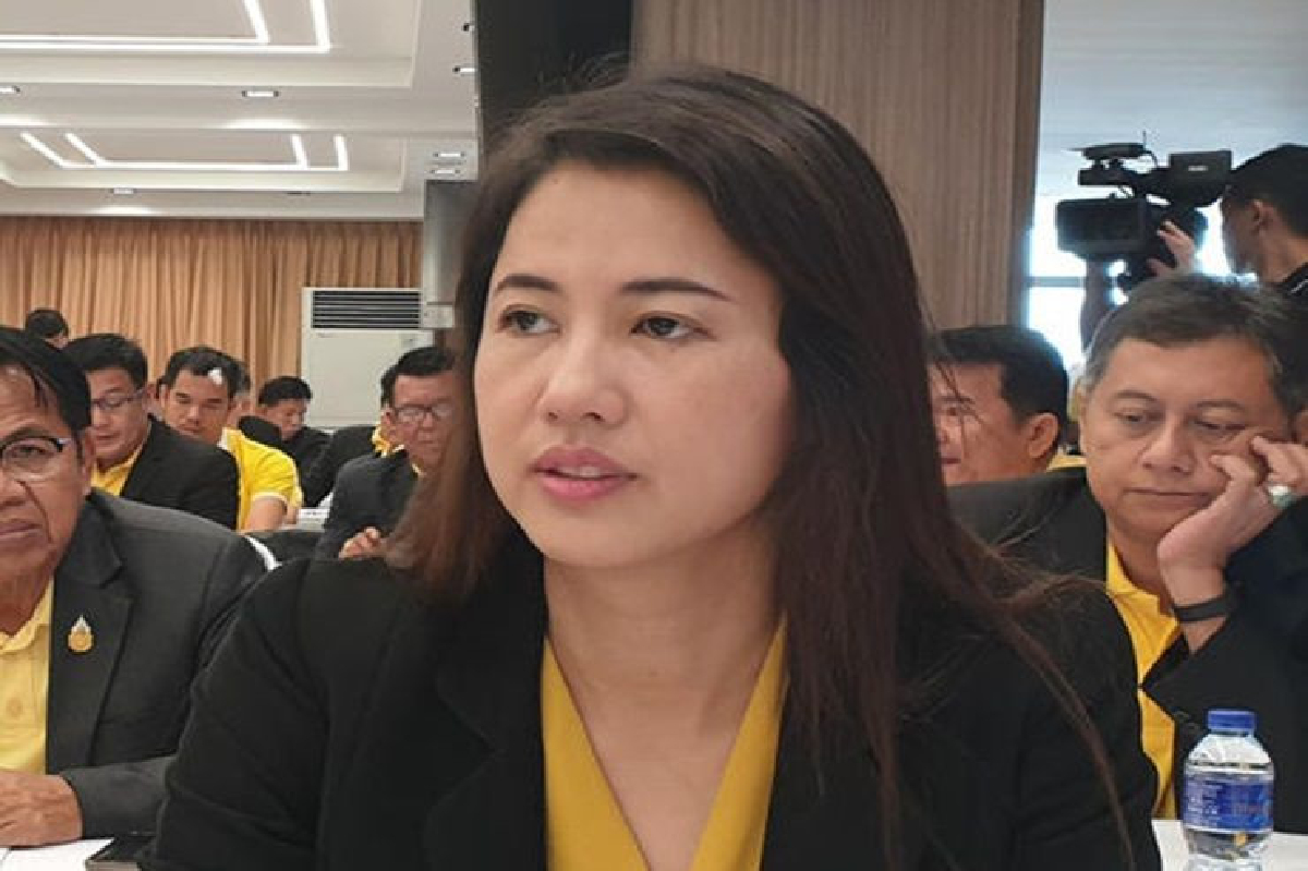 "ปารีณา"โวย "เสรีพิศุทธ์"ไม่เป็นผู้ใหญ่ โดนกมธ.เช็คบิลที่ดิน 1,700 ไร่ "ปารีณา"โวย "เสรีพิศุทธ์"ไม่เป็นผู้ใหญ่ โดนกมธ.เช็คบิลที่ดิน 1,700 ไร่