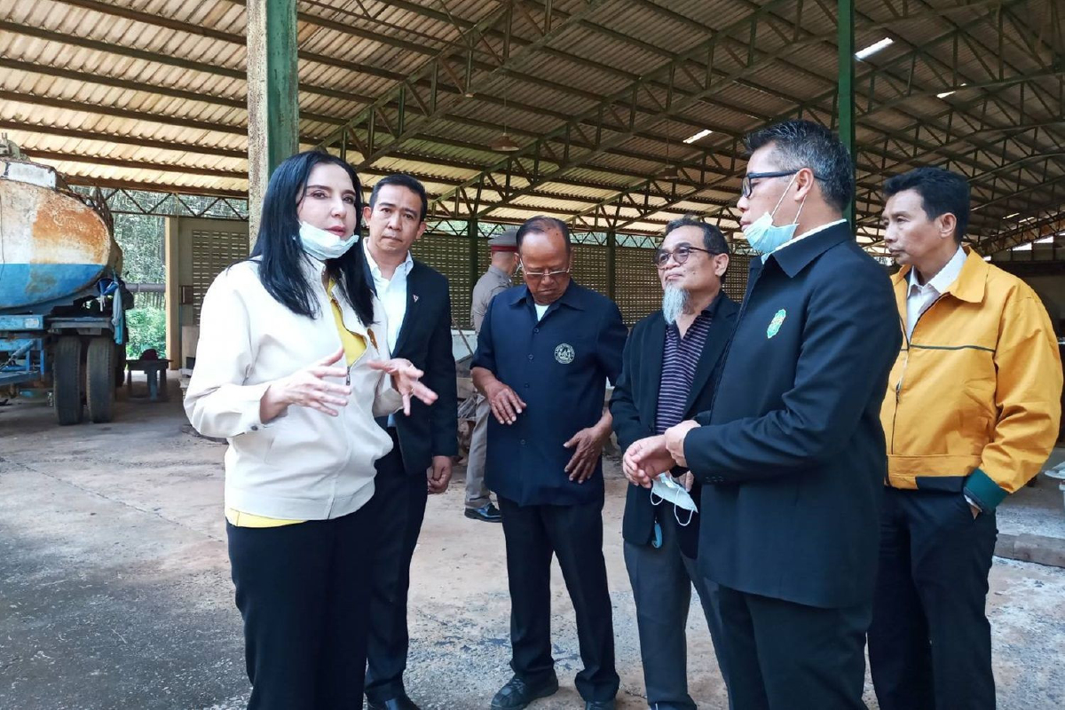 "มนัญญา" ลงพื้นที่เยี่ยมสหกรณ์เครือข่ายยางพาราจังหวัดตราด หนุนแปรรูปผลิตภัณฑ์ยางพาราป้อนตลาด "มนัญญา" ลงพื้นที่เยี่ยมสหกรณ์เครือข่ายยางพาราจังหวัดตราด หนุนแปรรูปผลิตภัณฑ์ยางพาราป้อนตลาด