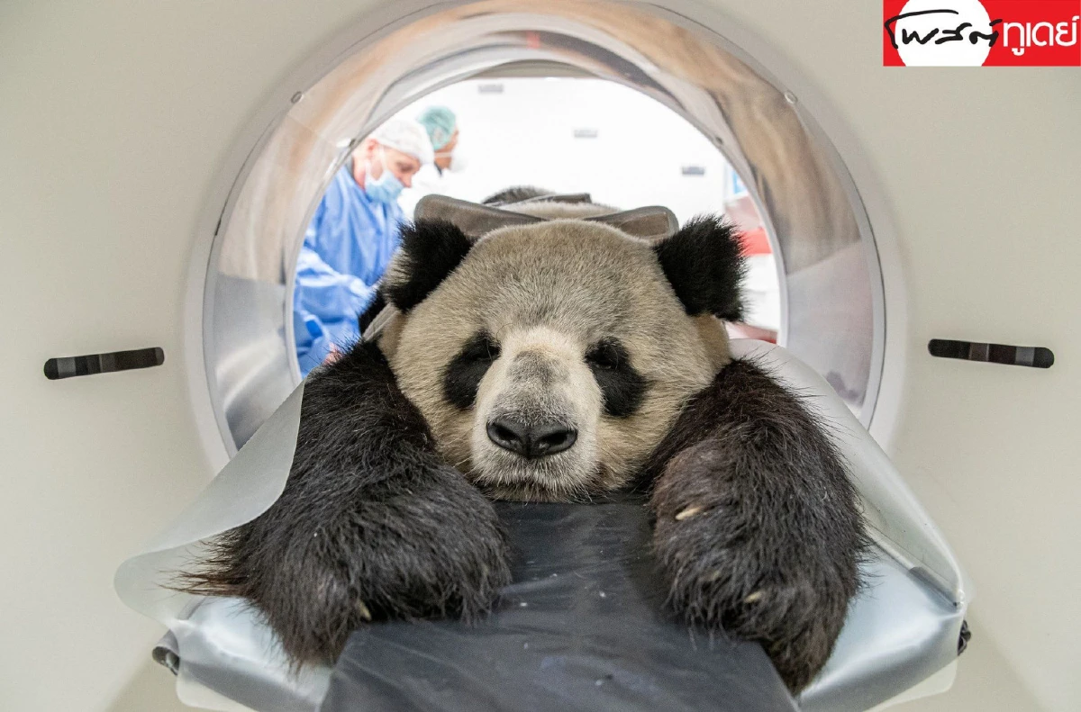 รวมช็อตเด็ดเหตุการณ์โลก จากตลาดเนื้อหมาถึงแม่น้ำสีเลือด