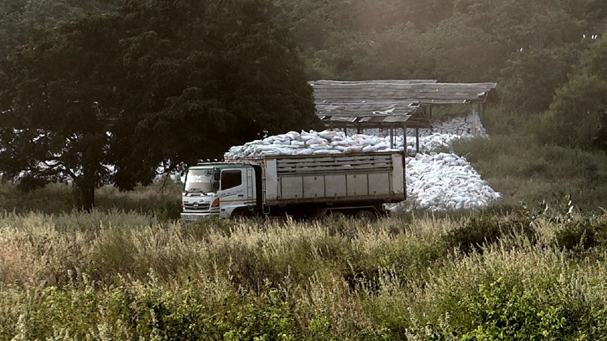 ฟาร์มไก่เขาสนของส.ส.ปารีณายังเปิดให้บริการตามปกติมีรถเข้าออกทั้งวัน