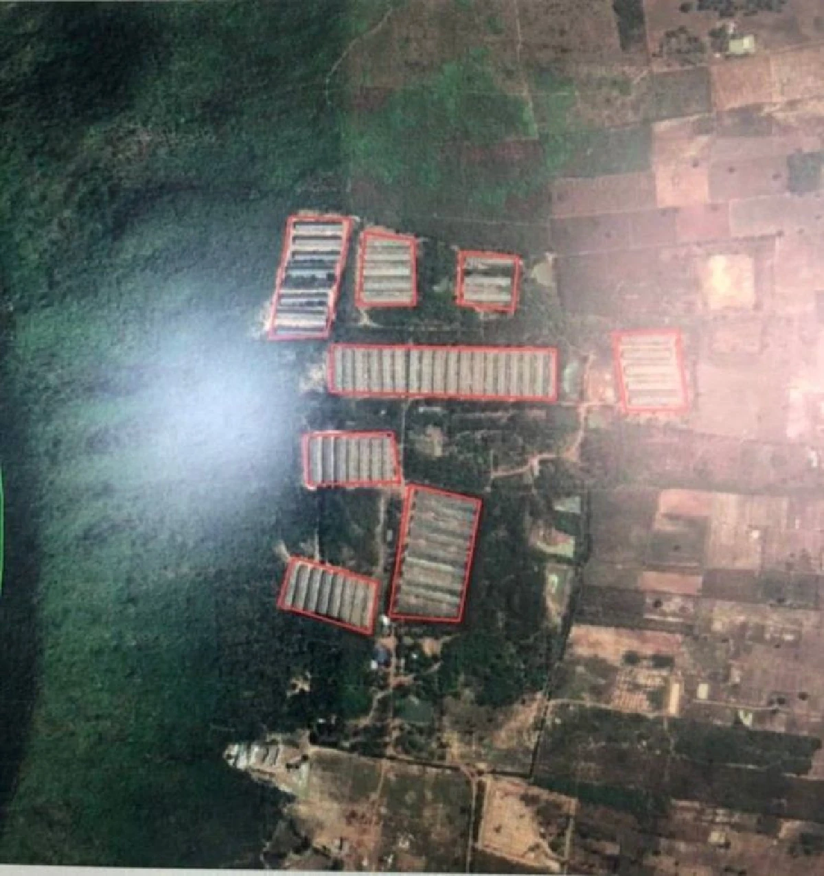 "ศรีสุวรรณ"จ่อร้อง ป.ป.ช.สอบจริยธรรมร้ายแรง"ปารีณา" 20 พย.