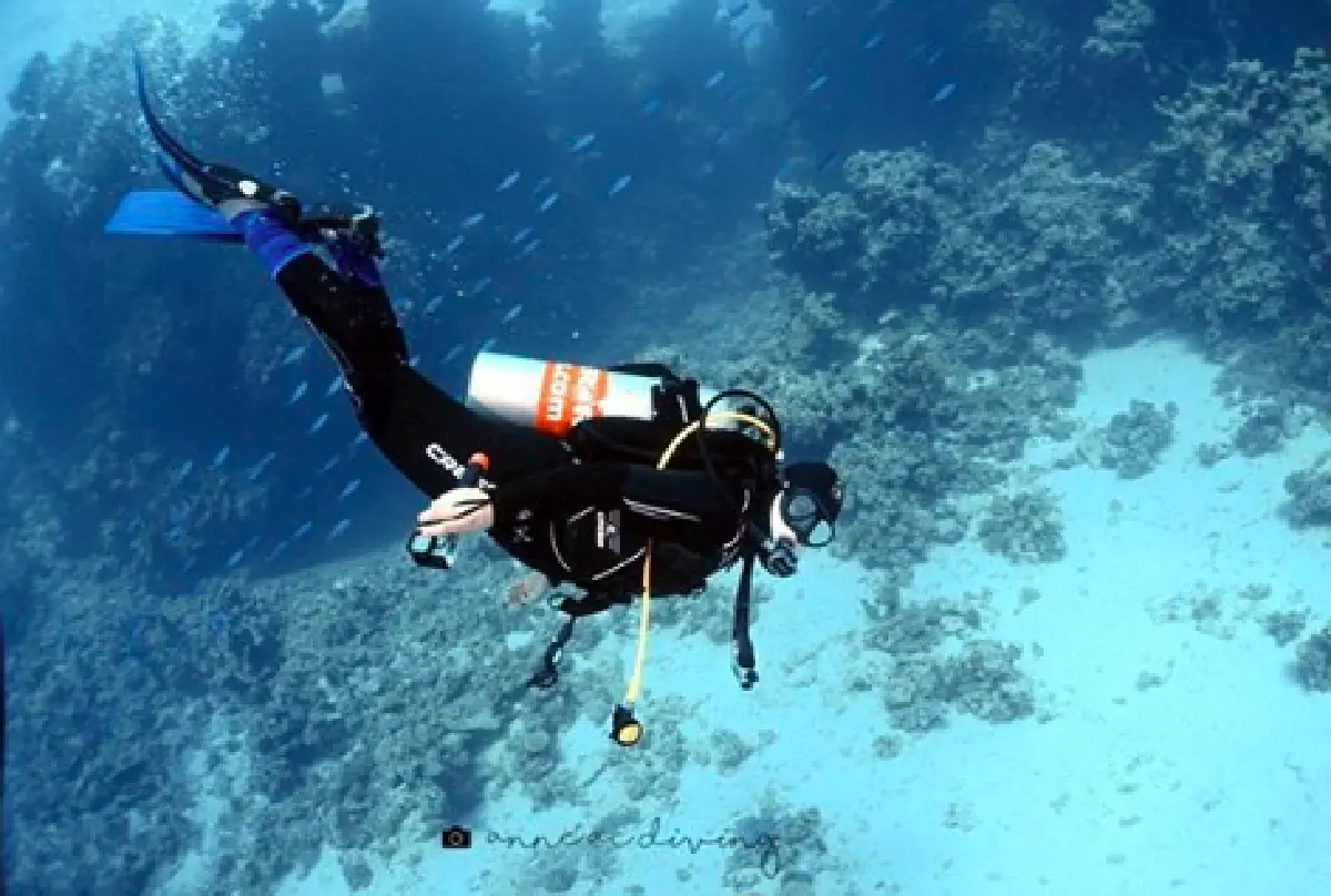 "บุ๋ม ปนัดดา” หุ่นยังเป๊ะ! เพิ่มความร้อนแรงในชุดว่ายน้ำสีแดง โพสท่าฉีกขาสุดแซ่บ