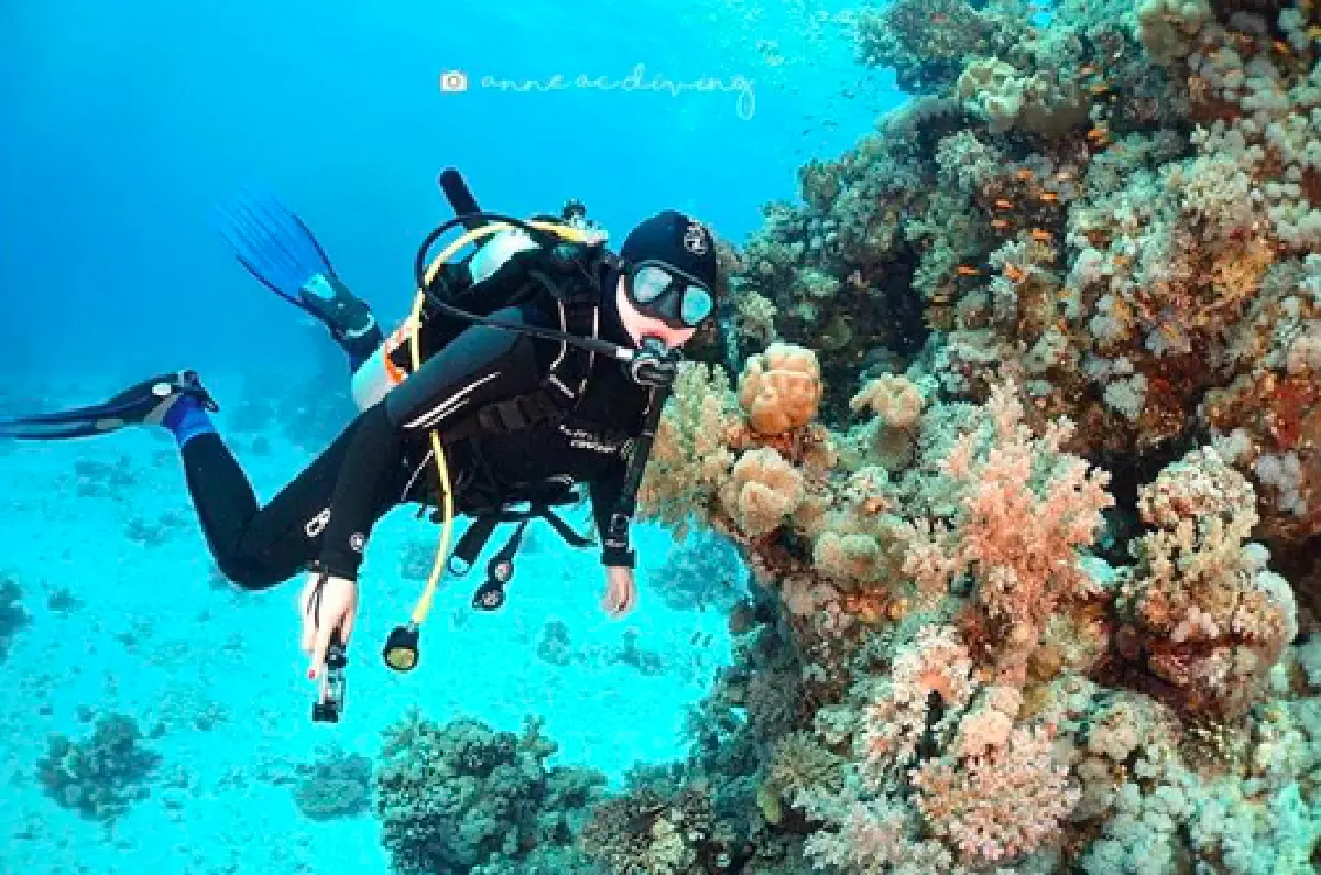 "บุ๋ม ปนัดดา” หุ่นยังเป๊ะ! เพิ่มความร้อนแรงในชุดว่ายน้ำสีแดง โพสท่าฉีกขาสุดแซ่บ