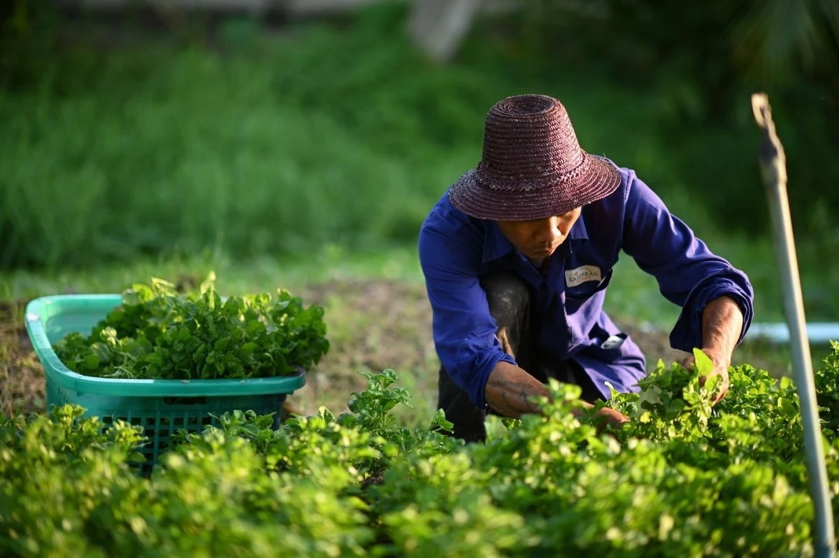 58 ปี สวนสามพราน ก้าวใหม่สู่พื้นที่สร้างแรงบันดาลใจ