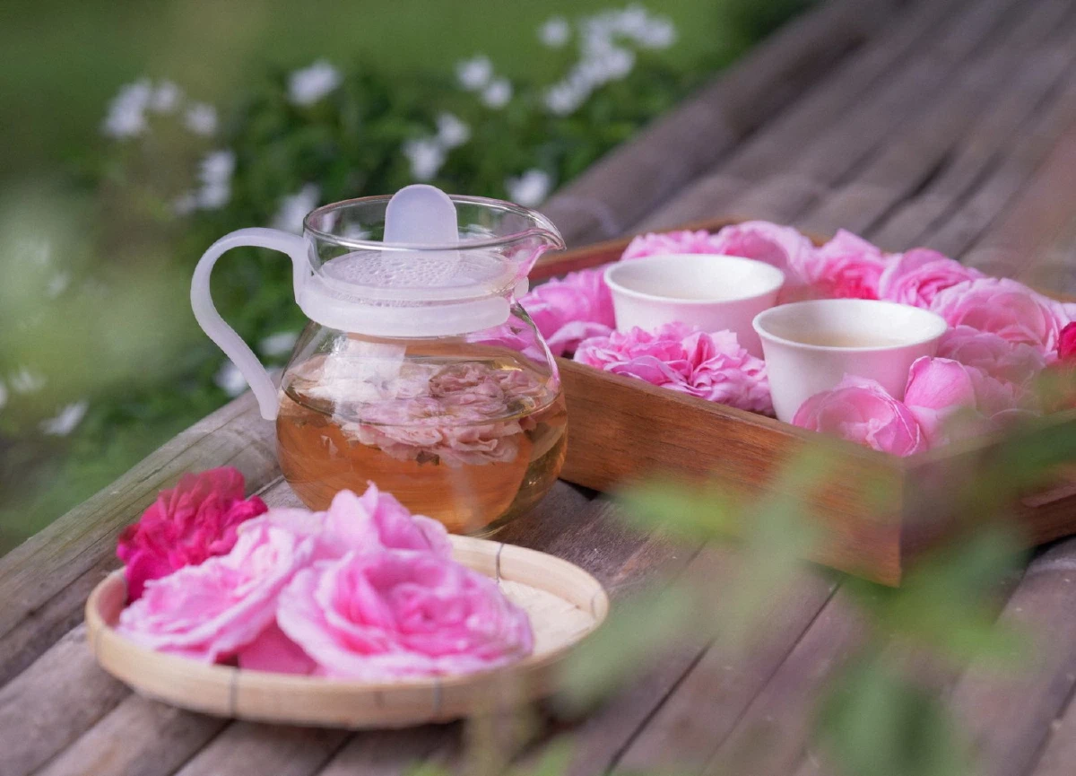 สับสวิตช์ชีวิตออฟฟิศแสนยุ่ง แล้วพุ่งตัวหาธรรมชาติ