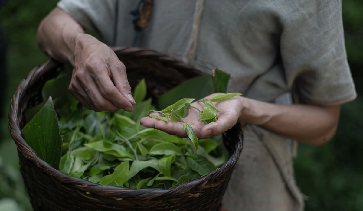 สับสวิตช์ชีวิตออฟฟิศแสนยุ่ง แล้วพุ่งตัวหาธรรมชาติ