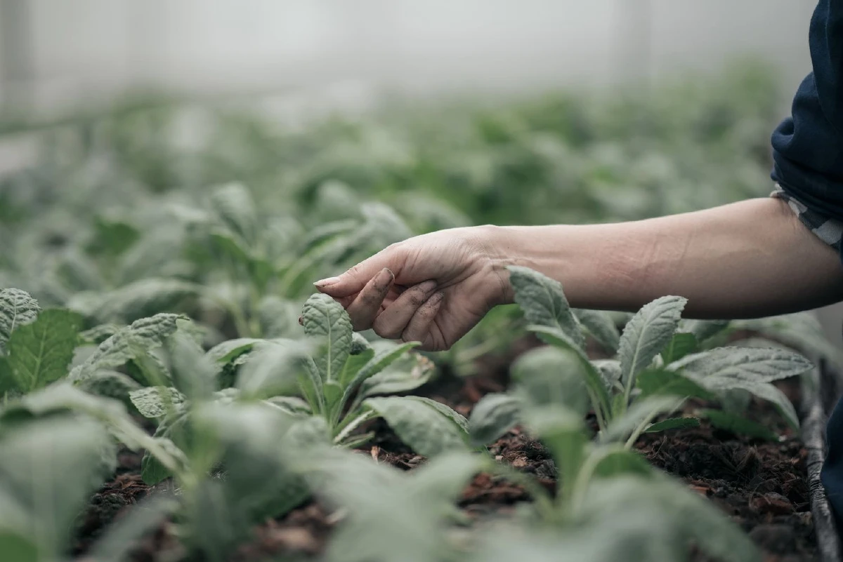 สับสวิตช์ชีวิตออฟฟิศแสนยุ่ง แล้วพุ่งตัวหาธรรมชาติ