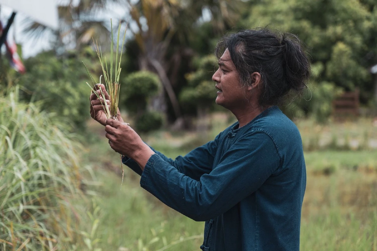 สับสวิตช์ชีวิตออฟฟิศแสนยุ่ง แล้วพุ่งตัวหาธรรมชาติ