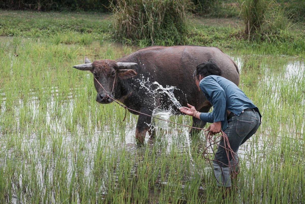 สับสวิตช์ชีวิตออฟฟิศแสนยุ่ง แล้วพุ่งตัวหาธรรมชาติ