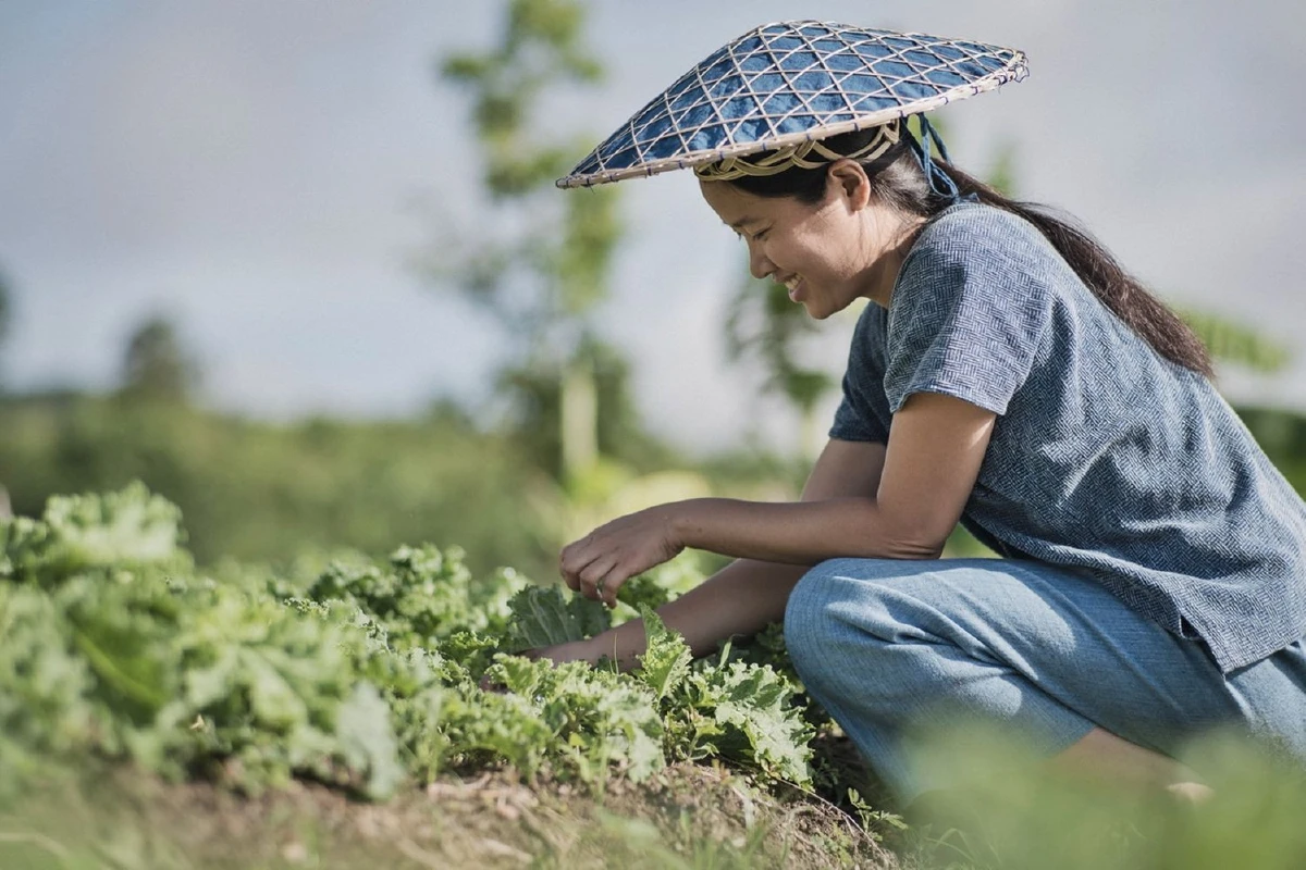 สับสวิตช์ชีวิตออฟฟิศแสนยุ่ง แล้วพุ่งตัวหาธรรมชาติ