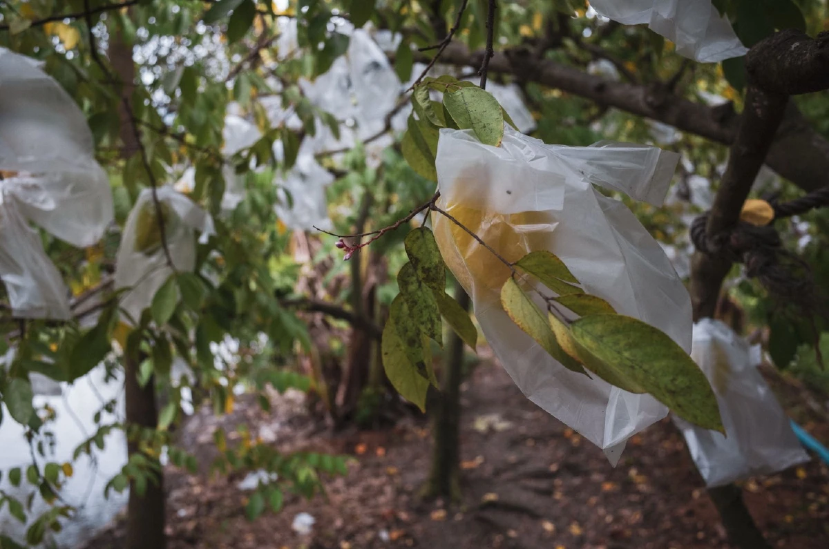 สับสวิตช์ชีวิตออฟฟิศแสนยุ่ง แล้วพุ่งตัวหาธรรมชาติ