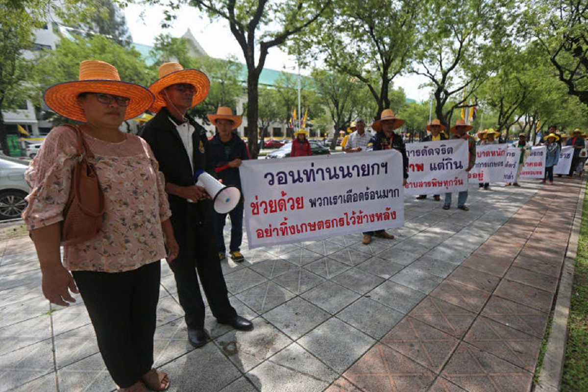 เกษตร ตะลึง!! งบชดเชยแบน 3 สาร พุ่ง 4 หมื่นล้าน ตีกลับทำตัวเลขใหม่ เกษตร ตะลึง!! งบชดเชยแบน 3 สาร พุ่ง 4 หมื่นล้าน ตีกลับทำตัวเลขใหม่