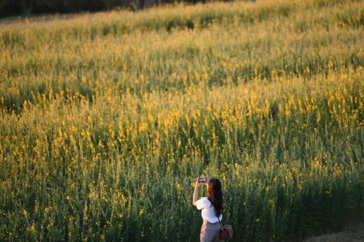 เทศกาลท่องเที่ยวแม่เมาะครั้งที่ 15 เริ่มแล้ว คาดเงินสะพัดลำปาง 200 ล้านบท