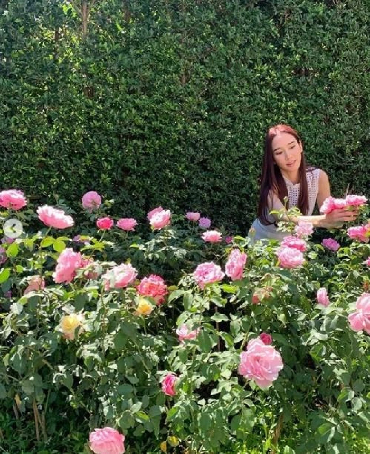 ส่องสวนสุดอลังในบ้าน อั้ม พัชราภา จัดเต็มด้วยดอกไม้สวยๆเพราะชื่นชอบมาก