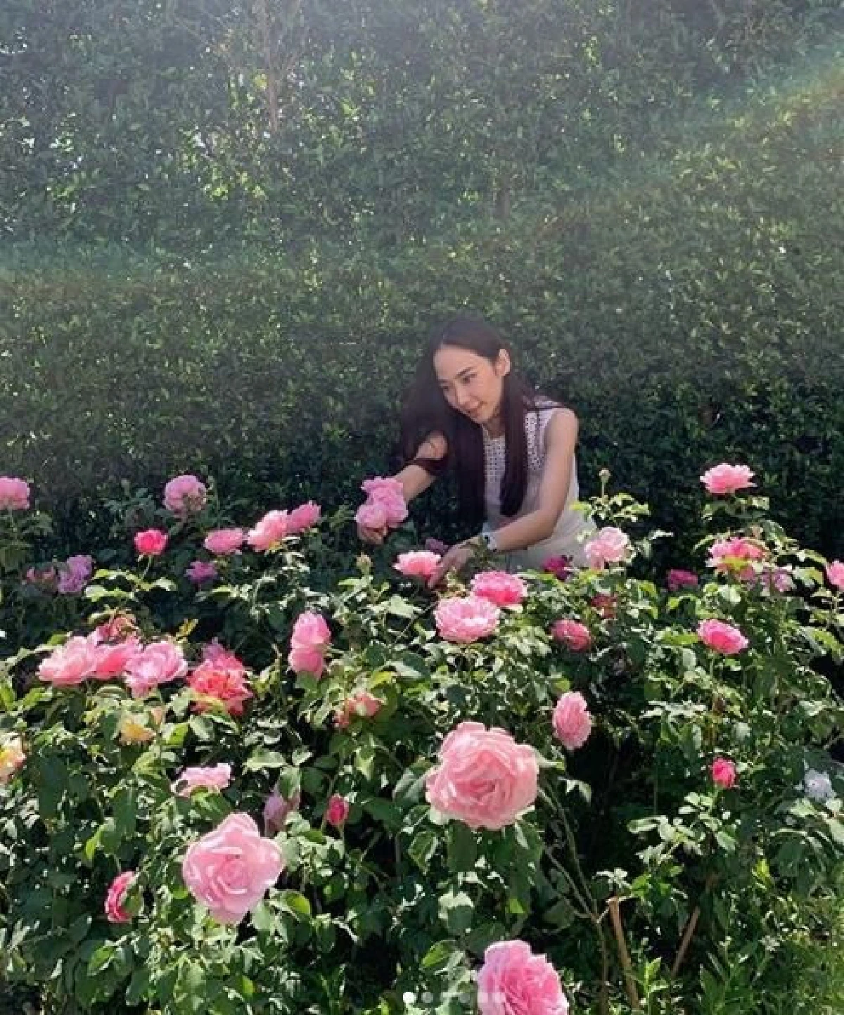 ส่องสวนสุดอลังในบ้าน อั้ม พัชราภา จัดเต็มด้วยดอกไม้สวยๆเพราะชื่นชอบมาก