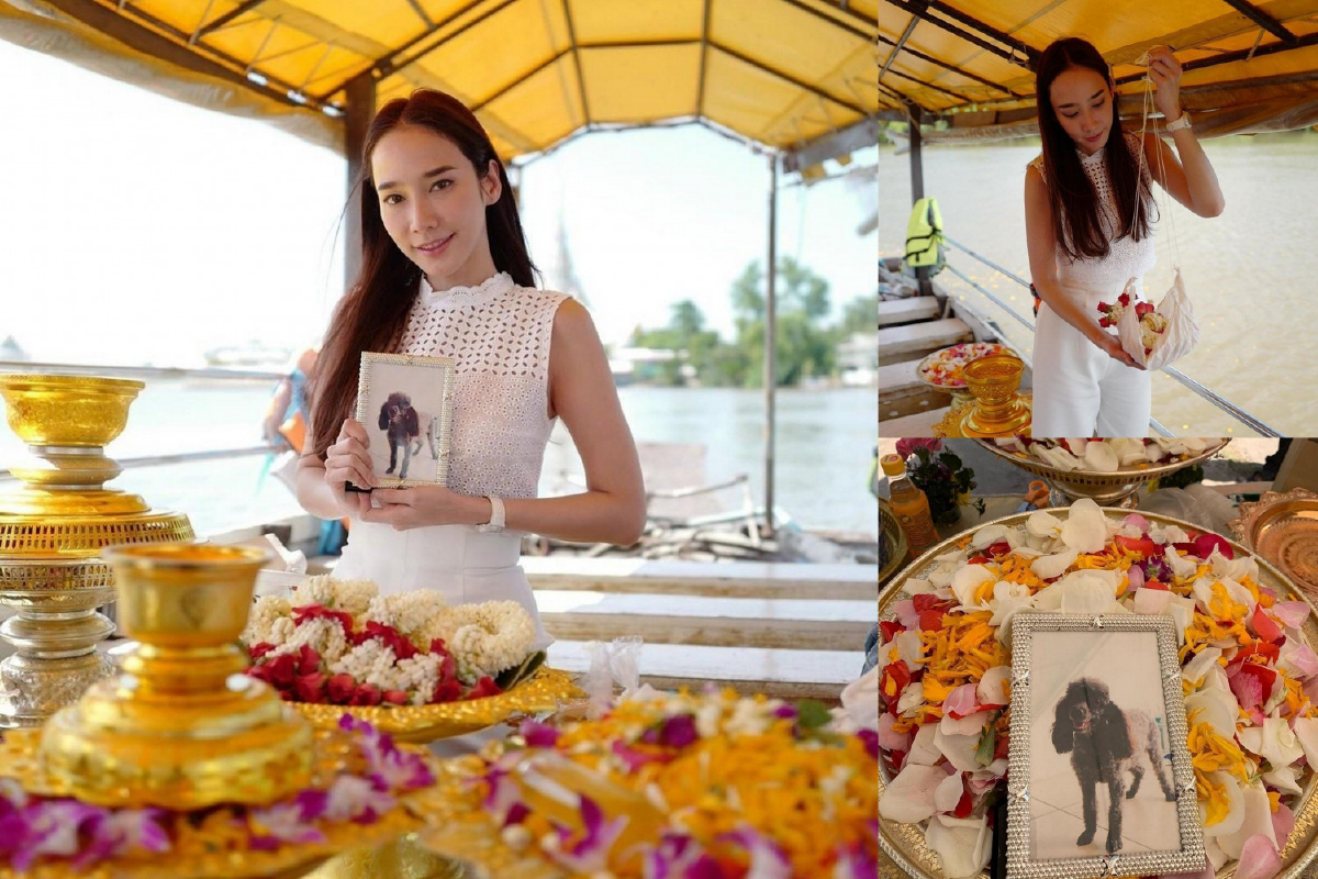 อั้ม พัชราภา ตอกกลับ! หลังโดนต่อว่าเว่อร์เกิน หลังลอยอังคารส่งสุนัขสุดรักขึ้นสวรรค์ อั้ม พัชราภา ตอกกลับ! หลังโดนต่อว่าเว่อร์เกิน หลังลอยอังคารส่งสุนัขสุดรักขึ้นสวรรค์