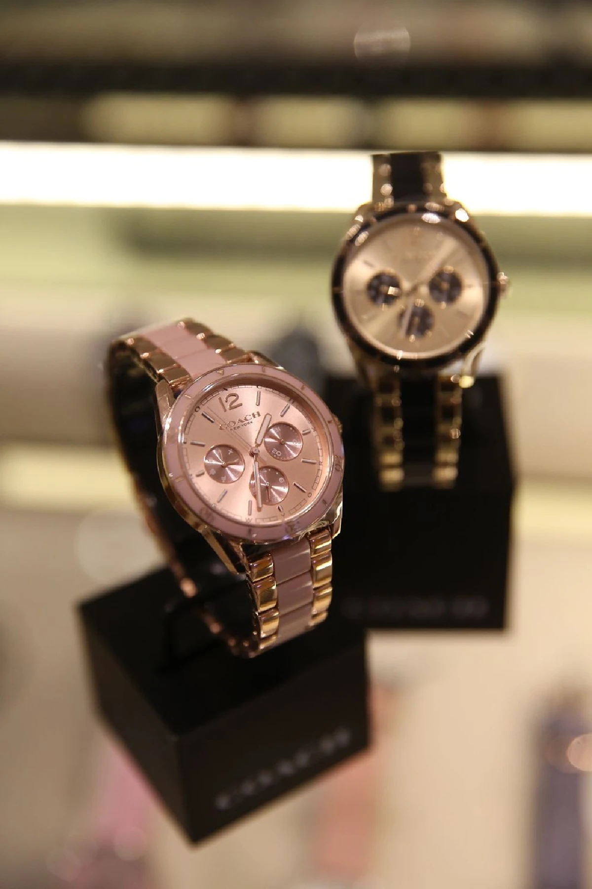 Coach Fall Winter 2019 ผลงานชิ้นเอกที่เปี่ยมด้วยแพชชั่น