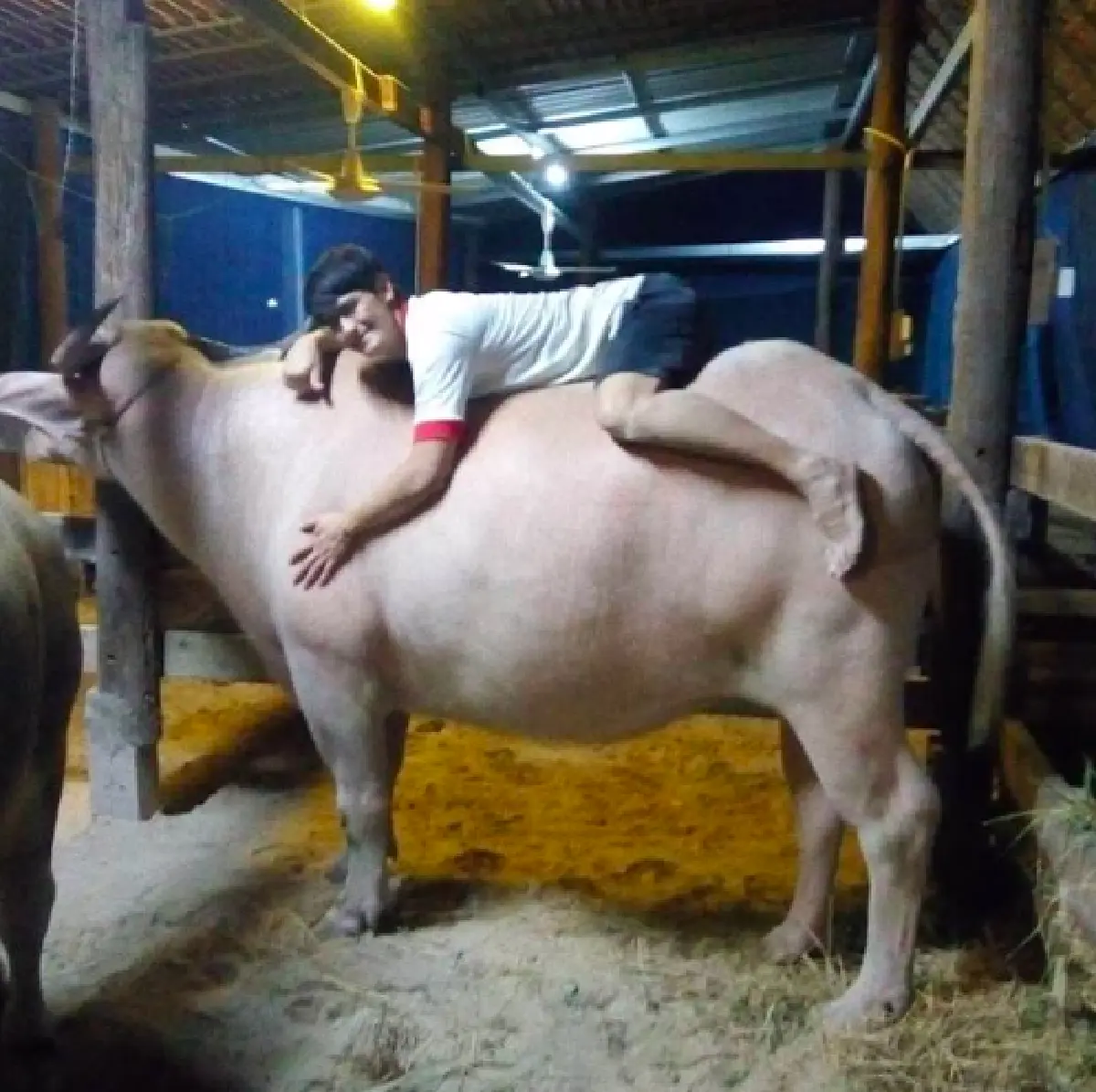 เด็กเลี้ยงไก่! "น้องมารีน” ลูกสาว “น้ำ รพีภัทร” ช่วยดูแลบ้านสวนอีกแรง