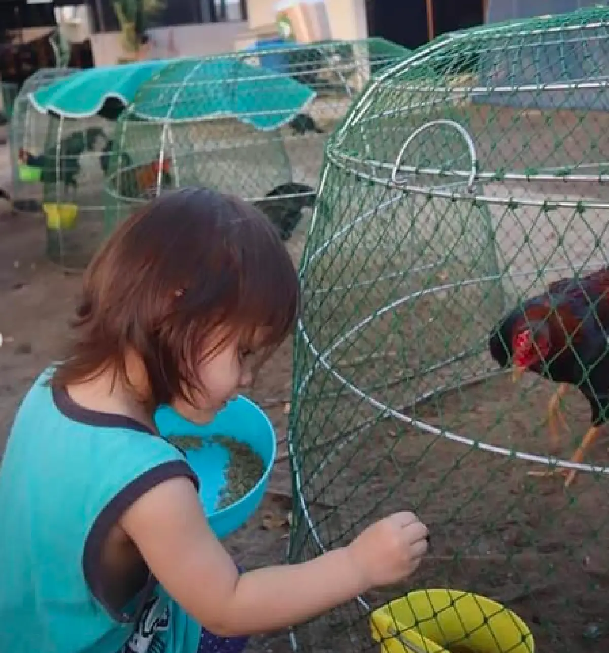 เด็กเลี้ยงไก่! "น้องมารีน” ลูกสาว “น้ำ รพีภัทร” ช่วยดูแลบ้านสวนอีกแรง